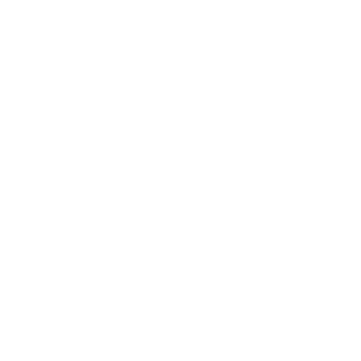 Ícone de um escudo